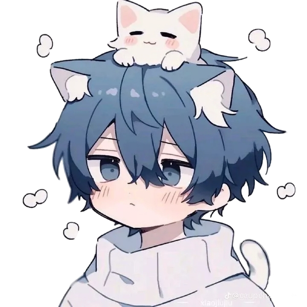 cute cat